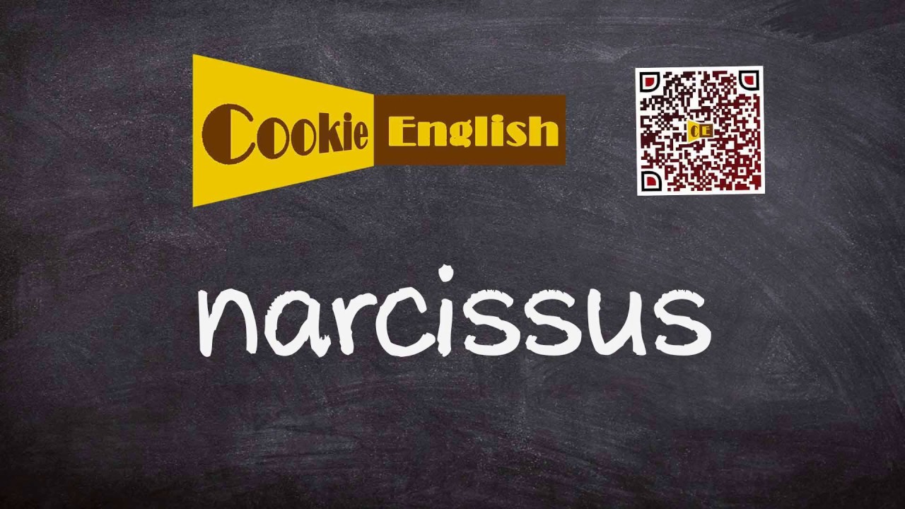 Narcissus Pronunciation, Paraphrase, Listen & Practice YouTube