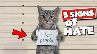 5 Signs Your CAT HATES YOU