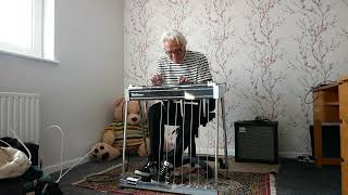 Another way of playing the pedal steel guitar