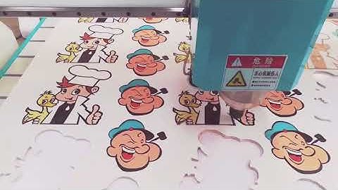 Cnc router with CCD Camera