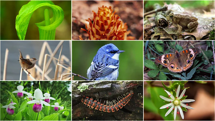 Our Story - Central Indiana Land Trust