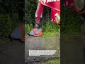 Excavator Flail Mower Destroys Overgrown Weeds Fast! #Excavator #LandClearing #Mowing