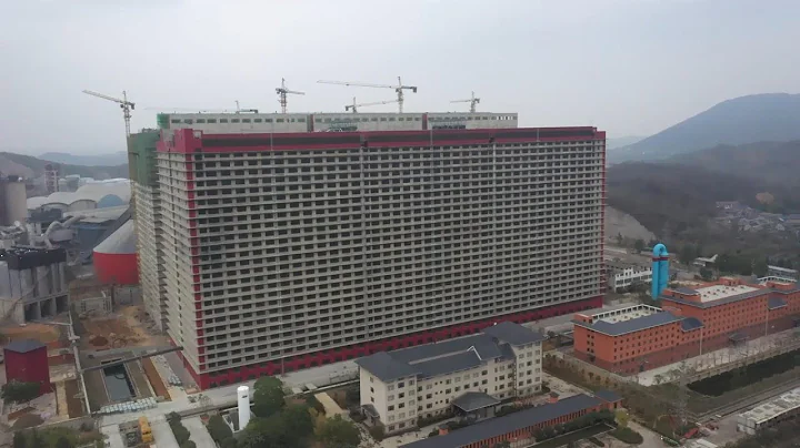 GLOBALink | Raising pigs in a 26-story building in central China - DayDayNews