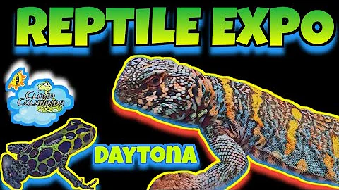 Amazing Reptiles. DAYTONA NATIONAL REPTILE BREEDERS EXPO 2025