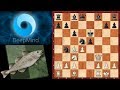 Шахматы. AlphaZero - Stockfish 8: новый взгляд на старый вариант защиты двух коней!