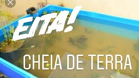 Como limpar piscina suja de terra?