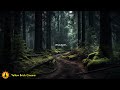 Relaxing Forest Music, Peaceful Music, Stress Relief, Meditation Music, Nature Sounds Ambience