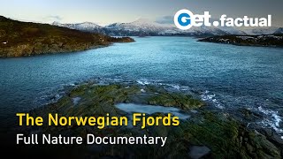 The Norwegian Fjords  Life in the Twilight | Full Nature Documentary