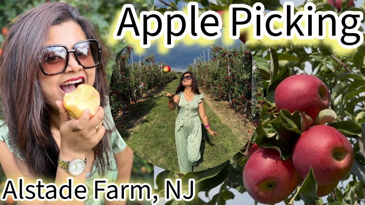 EXCLUSIVE AUTUMN ADVENTURES in USA 🍎🍁🍂 || APPLE Picking Fun || 