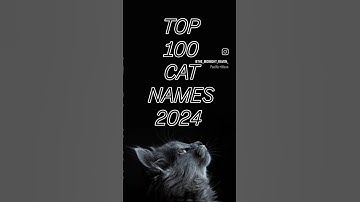 TOP 100 CAT NAMES OF 2024 60 - 56 #cats #catnames #top100 #cat #cats #lists #shorts