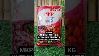 MKP Pak Tani Fertilizer 1kg Mono Potassium Phosphate Anti-Flower and Fruit Loss #mkpfertilizer #f...