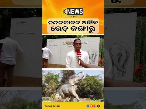 ନନ୍ଦନକାନନ ପାଇଁ ଖୁସି ଖବର। ବିଦେଶରୁ ଆସୁଛନ୍ତି ବିରଳ ବନ୍ୟଜନ୍ତୁ, ପ୍ରସ୍ତୁତ ହେଉଛି ସ୍ୱତନ୍ତ୍ର ଖୁଆଡ। Nandankanan