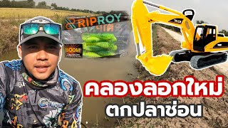 TEXAS RIG ตกปลาช่อน หมายข้างทาง คลองลอกใหม่ | ตกปลา หว่านหว่านแห channel