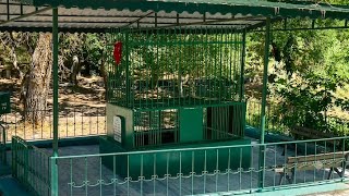 TRAKYA HALKININ MANEVİDEĞERİ BOLCA NİNE 
