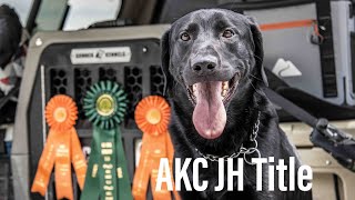 AKC Junior Hunt Tests || Chasing After Our TITLE
