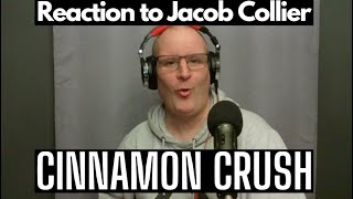 First Tieme Reaction to Jacob Collier Cinnamon Crush