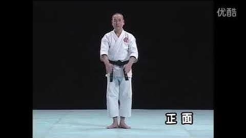 Kata tensho and bunkai