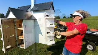 Purple Martin House  Annual Maintenance & Cleaning