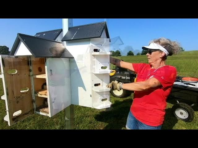 diy-purple-martin-house-youtube for Printable T 14 Purple Martin House Plans Free Diy purple martin house. - YouTube for Printable T 14 Purple Martin House Plans Free