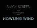 Howling Wind Sounds for Sleeping Black Screen - Dark Screen Relaxing Nature Sounds for Sleep