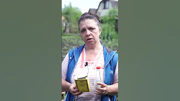 Как навсегда избавиться от колорадского жука ☘