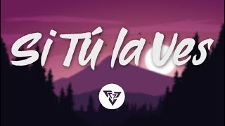 Nicky Jam, Wisin - Si Tú la Ves (letra)