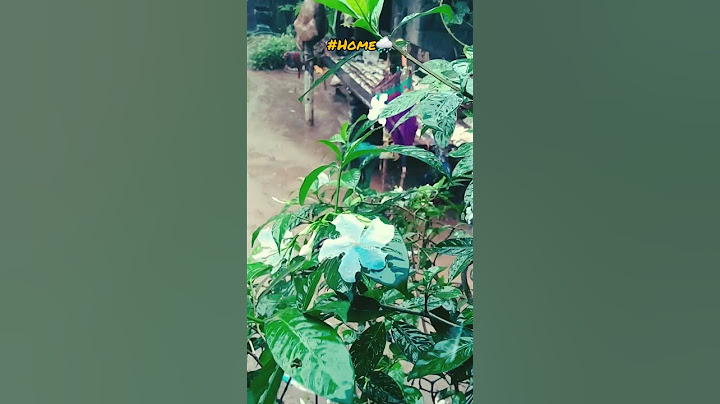 മഴ 2k25...#rain #whether #kerala #song #shoets #vlogs #vlog #music #family #music #vibes #love #rcb