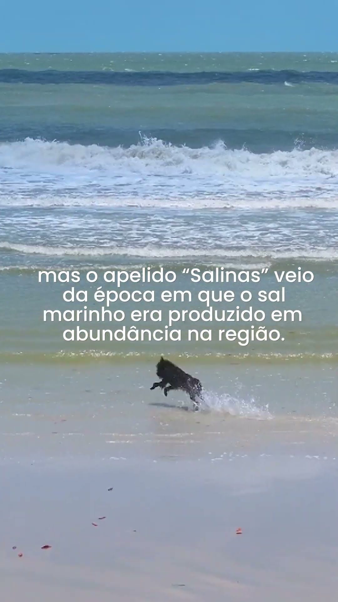 ? “Salinas” ou Salinópolis?