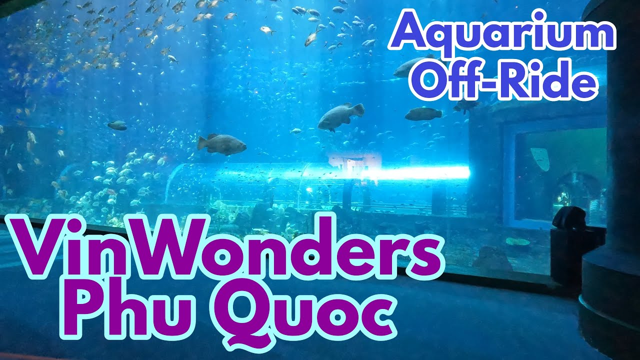 Seashell Aquarium @ VinWonders Phu Quoc | Off-Ride - YouTube