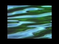 Nine Inch Nails - Fragility 1.0 Video sequence (Restored)