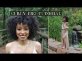 HOW I ACHIEVE A CURLY FRO WITH FLEXI RODS | Natural Hair Tutorial...