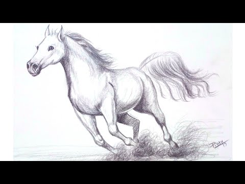 Horse sketch with running racehorse 11777313 Vector Art at Vecteezy