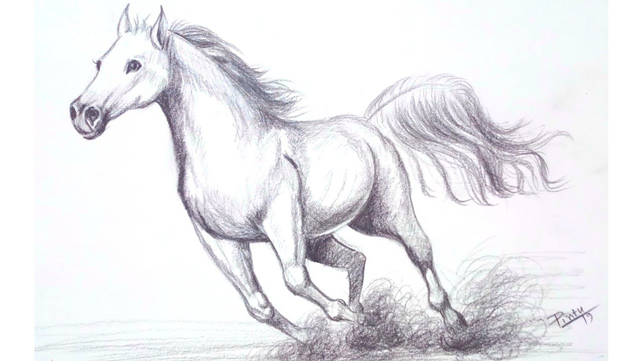 How to draw a running horse - Pencil shading - YouTube