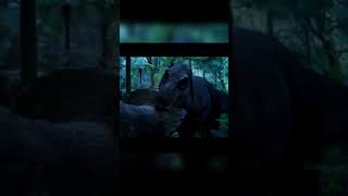 T-rex Spino Giga allosaurus #jurassicworld #rex #dino #edit #spino #giga #allosaurus #fyp