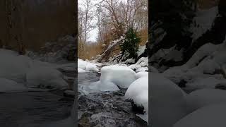 free nature video