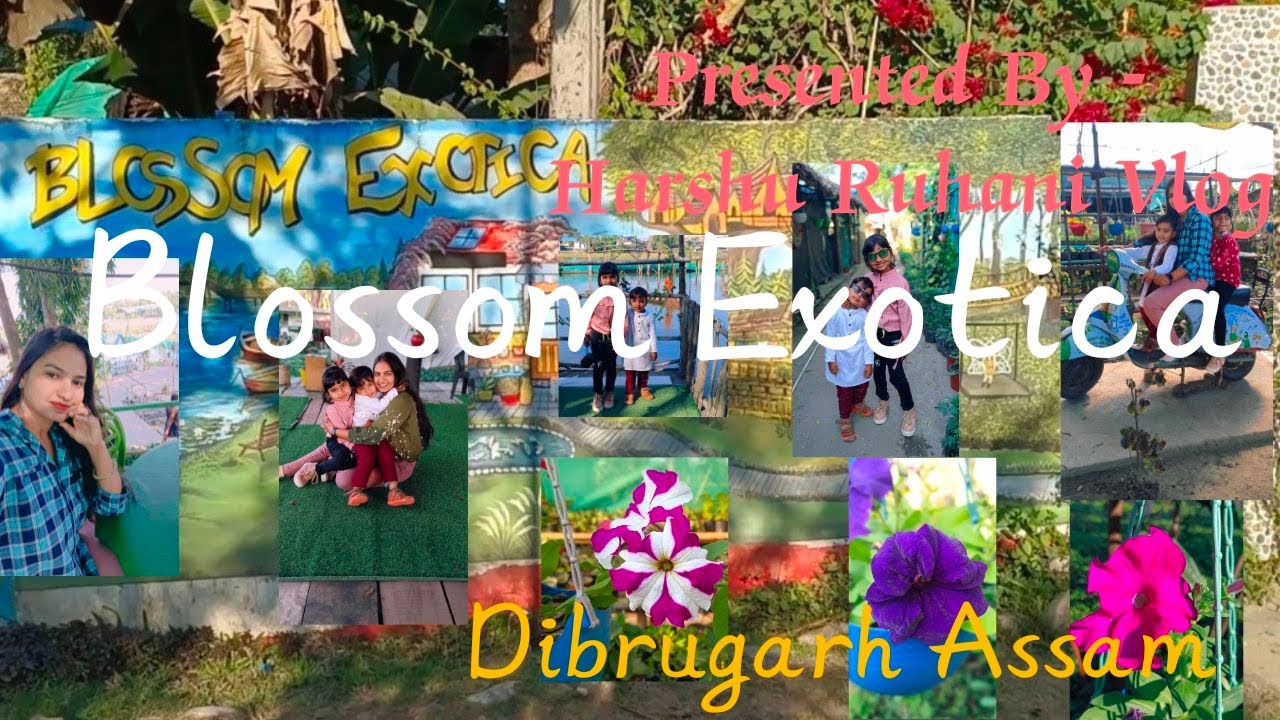 Bloosom Exotica Bloosom Resort Dibrugarh Assam YouTube