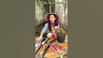 Bộ 9 Món Dụng Cụ Làm Vườn Cây Cảnh Bonsai