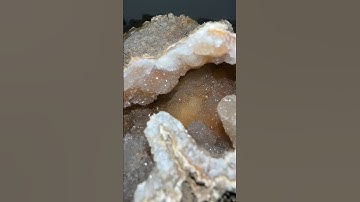 This is what Coral looks like after millions of years 🪸 #geology #shorts #rocks #fossils #crystals