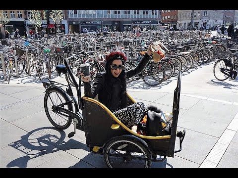 cargo bike tour copenhagen