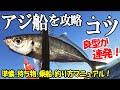 【船釣り初心者オススメ】はじめてのアジ船講座！良型の金アジが連発する！乗船・持ち物・締め方・釣り方マニュアル[保存版]