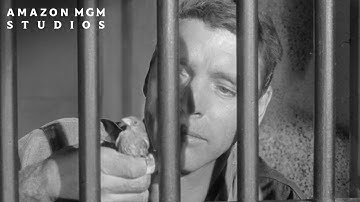 BIRDMAN OF ALCATRAZ (1962) | Official Trailer | MGM
