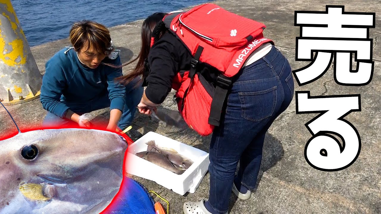 堤防から無限に釣れる魚をスーパーに売ってみたら 伊豆大島 6 Youtube 堤防から無限に釣れる魚をスーパーに売ってみたら 伊豆大島 6 Youtube
