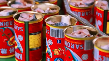Bikin Penasaran! Begini Proses Produksi Sarden yang Bisa Tahan 10 Tahun🔥🐟