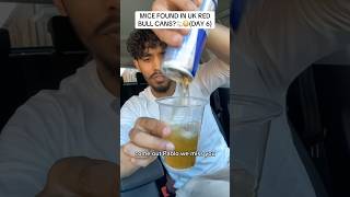 MICE FOUND IN UK RED BULL CANS?🐁😳(DAY 6) #redbull #miceinredbull #fyp #foryou