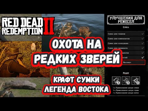 Видео: Охота на редких животных и сумка "Легенда Востока"