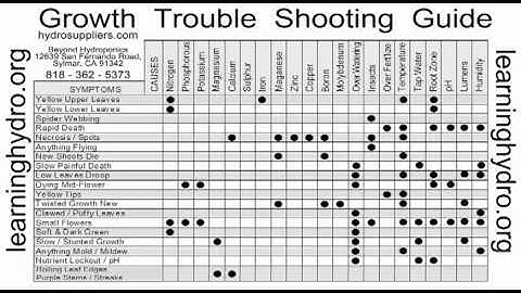 Hydroponic Garden Problems -- Free Troubleshooting Guide