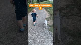 #dog #baby #babyboy #babyshorts #shortvideo