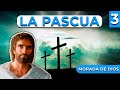 La Pascua 3 | Morada de Dios