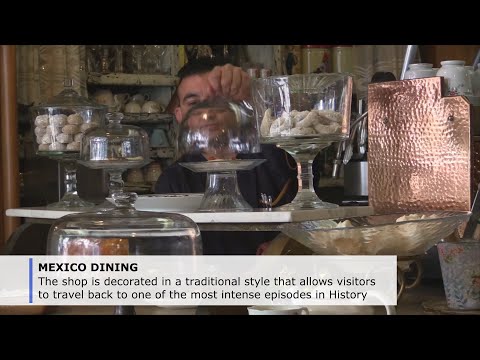 Video: Penjagaan Anggur Api - Cara Menanam Anggur Api Mexico