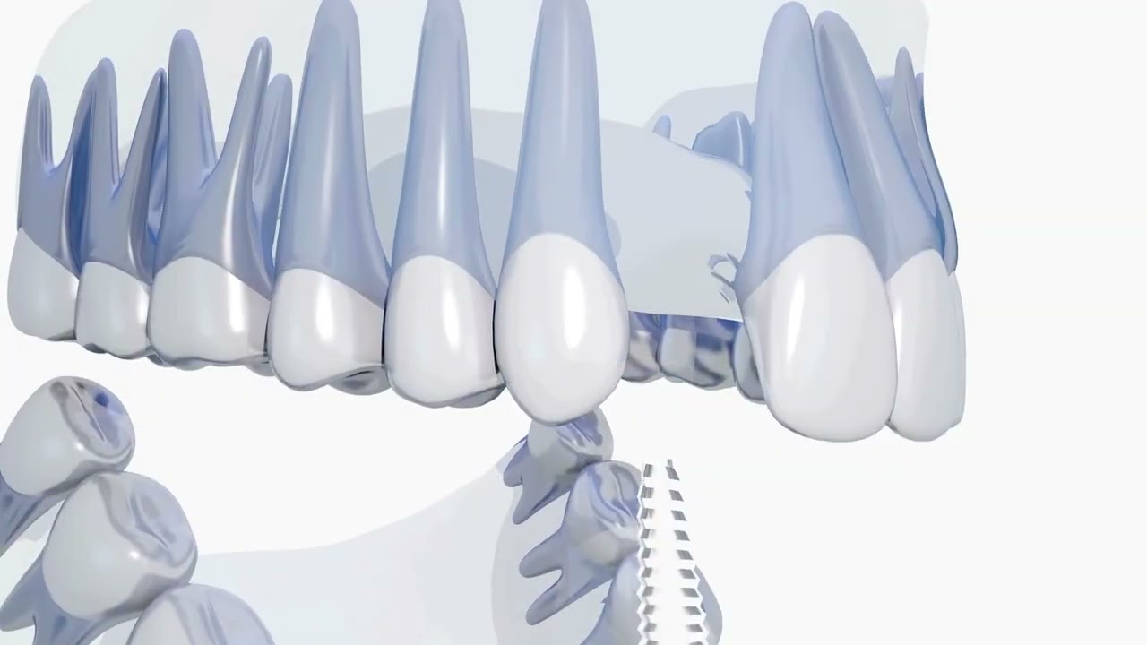 Welcome to Smile Sense: Tips for Brighter, Healthier Smiles